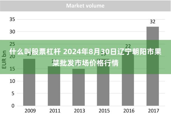 什么叫股票杠杆 2024年8月30日辽宁朝阳市果菜批发市场价格行情