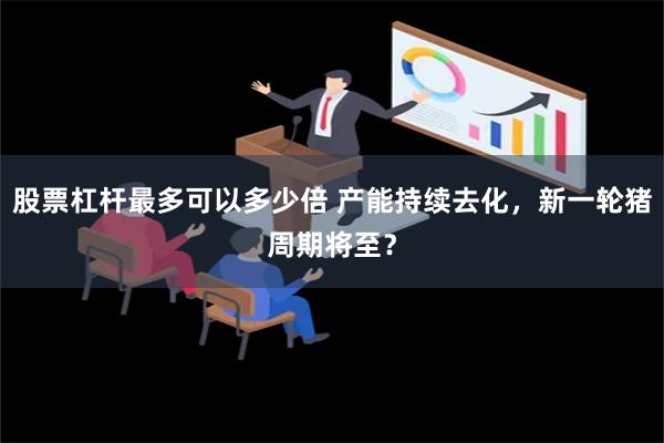 股票杠杆最多可以多少倍 产能持续去化，新一轮猪周期将至？