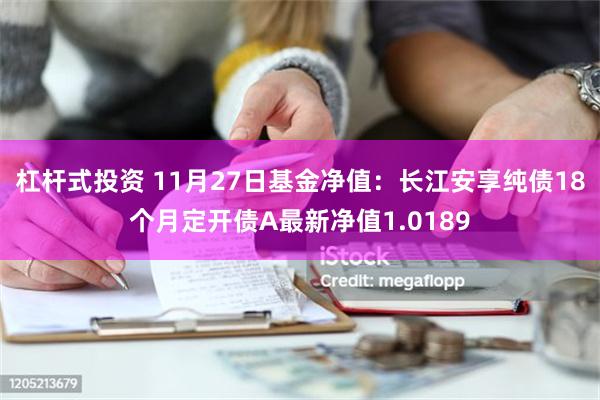 杠杆式投资 11月27日基金净值：长江安享纯债18个月定开债A最新净值1.0189