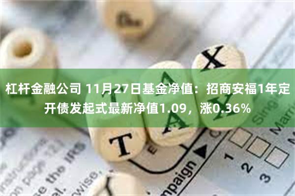 杠杆金融公司 11月27日基金净值：招商安福1年定开债发起式最新净值1.09，涨0.36%