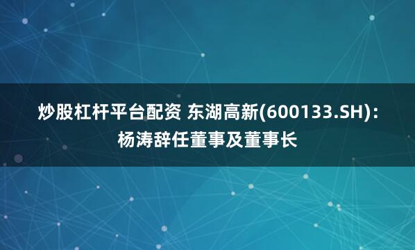 炒股杠杆平台配资 东湖高新(600133.SH)：杨涛辞任董事及董事长