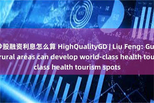 炒股融资利息怎么算 HighQualityGD | Liu Feng: Guangdong’s rural areas can develop world-class health tourism spots