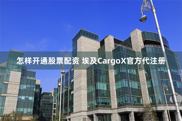 怎样开通股票配资 埃及CargoX官方代注册