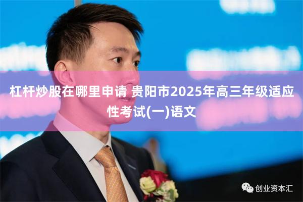 杠杆炒股在哪里申请 贵阳市2025年高三年级适应性考试(一)语文